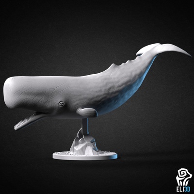 3d printable sperm whale - animal by eli tabletop characters & creatures 3d print model - Mito3D