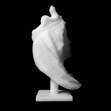 head virgin mus des beaux-arts lyon scan 3d print model - Mito3D
