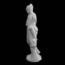 diana hermitage museum st petersburg scan 3d print model - Mito3D