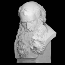 head bearded man scan 3d print model - Mito3D