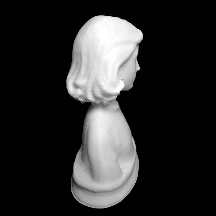 bernardino cenci mus des beaux arts lione scansione 3D print model - Mito3D