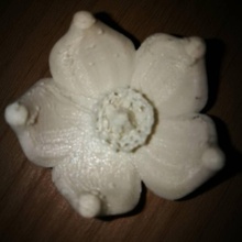 flower 2 jewellery petals stamen 3d print model - Mito3D