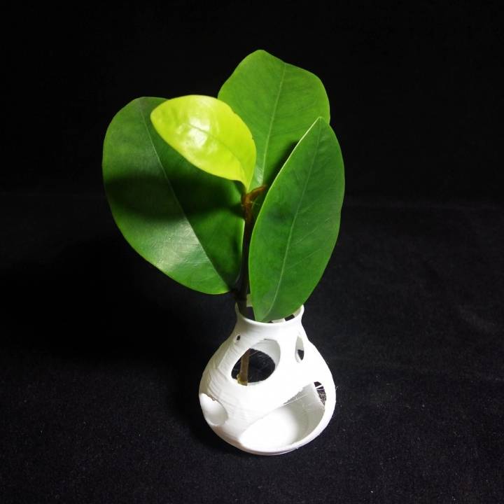vase poreux jardin 3D print model - Mito3D