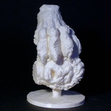 abgetrennter Kopf nye carlsberg glyptotek Kopenhagen scan Büste Griechisch lion Bauern roman Skulptur 3dprint 3dscan Mythos culturalheritage 3d print model - Mito3D