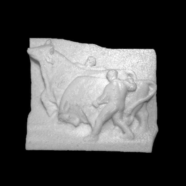 Männer bulls scan Tiere 3D print model - Mito3D