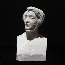 adam mickiewicz busto scan 3d print model - Mito3D