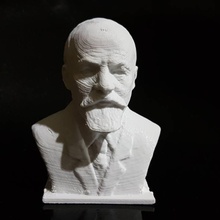 dr ibrahim temo bust scan 3d print model - Mito3D