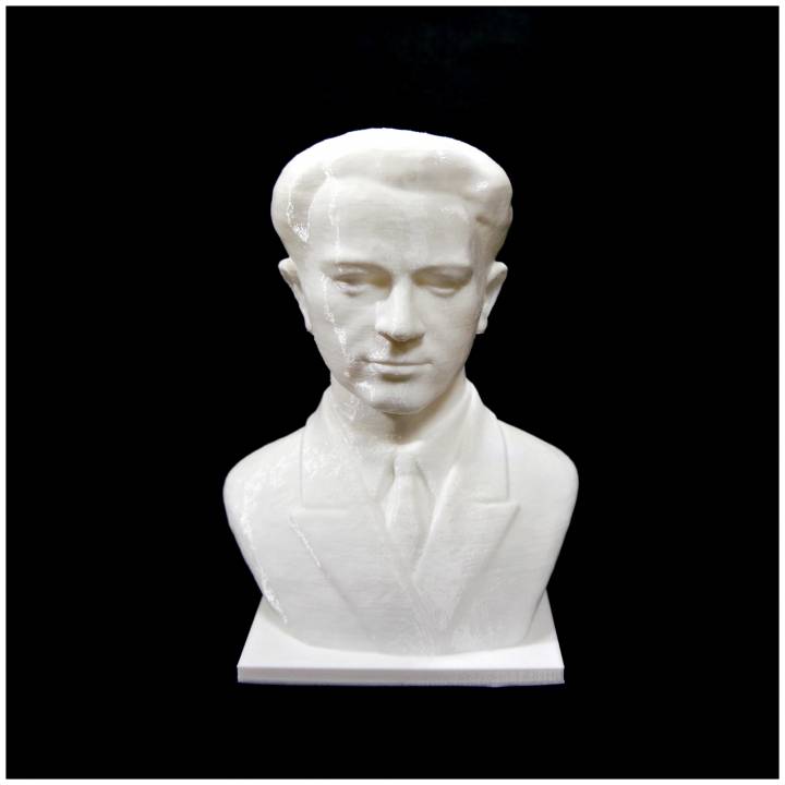 isa pelar busto scansione uomo 3D print model - Mito3D