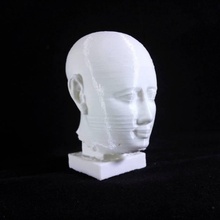 head male statue scan bust egypt man ptolemaic 3dprint noble 3dscan culturalheritage 3d print model - Mito3D