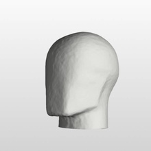head education 3d print model - Mito3D