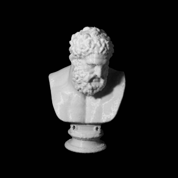 busto hercules scan 3D print model - Mito3D