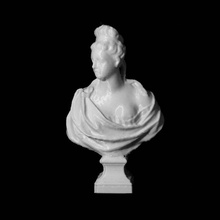 camilla scan busto mujer 3d print model - Mito3D