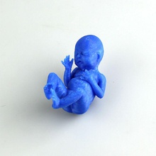 bolsillo bebé fan art humanos natural materna 3d print model - Mito3D