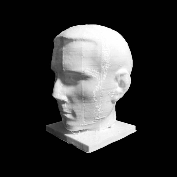 portrait roman scan 3D print model - Mito3D