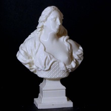 amazon scansione busto donna 3d print model - Mito3D