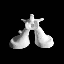 woman scan abstract 3d print model - Mito3D