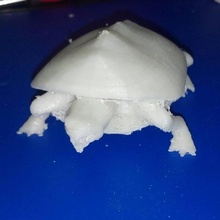 turtle toys & games animal reptile amniotes 3d print model - Mito3D