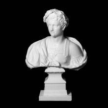 l'imperatore vespasiano scansione busto uomo 3d print model - Mito3D