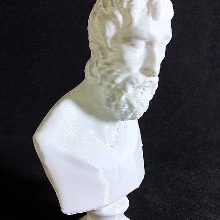 identificados busto scan 3D print model - Mito3D