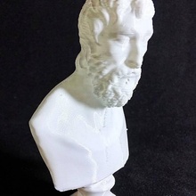 unidentified bust scan 3d print model - Mito3D