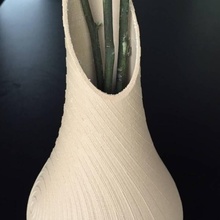 wooden vase & garden 3d print model - Mito3D