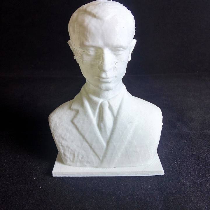 boro shajn busto scansione uomo 3D print model - Mito3D