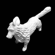 queens dog scan animal 3d print model - Mito3D