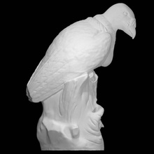 king vulture scan 3d print model - Mito3D