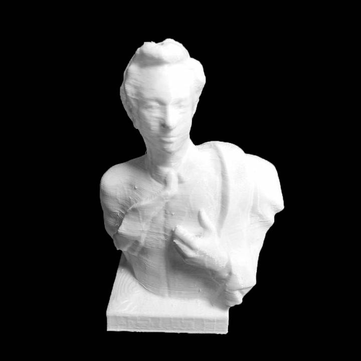 Wladimir Stepanowitsch chicherov scan 3D print model - Mito3D