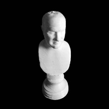 scipio africanus scan 3d print model - Mito3D