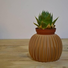 vase & garden holder cactus penholder 3d print model - Mito3D