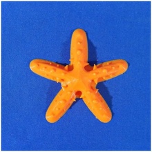 florida star-fish refrigerator magnet & garden star starfish 3d print model - Mito3D