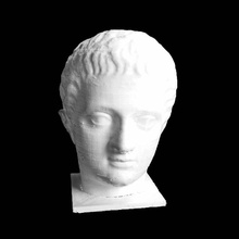 head germanicus scan man 3d print model - Mito3D