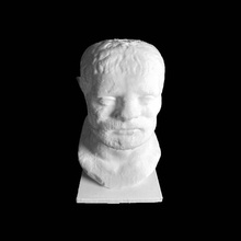 head boxer scan Kopf 3d print model - Mito3D