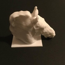 head horse scan animal 3d print model - Mito3D