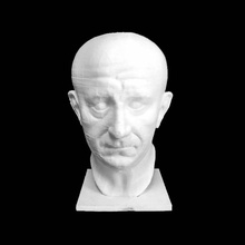portrait roman man scan bust 3d print model - Mito3D
