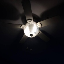 ceiling fan light shade & garden ceilingfan lampshade 3d print model - Mito3D
