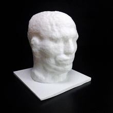worker scan head man 3d print model - Mito3D