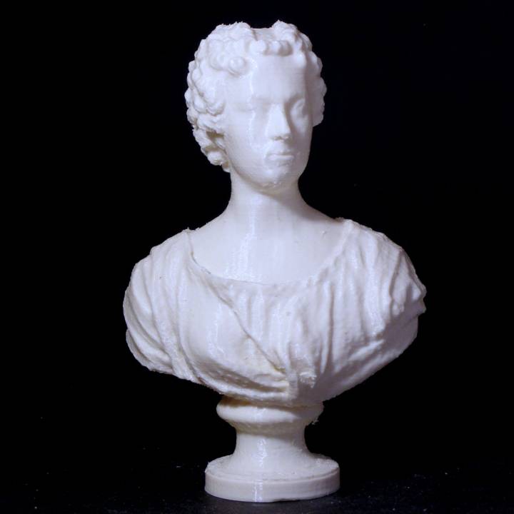 madame vleughels scan Frau Brust 3D print model - Mito3D