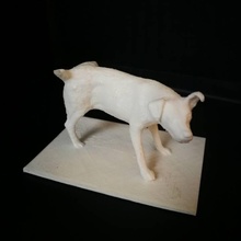 het zinneke scan Hund fullbody 3d print model - Mito3D