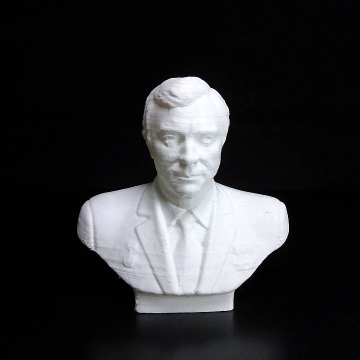 aleksandr pavlovič aleksandrov scansione uomo spazio petto cosmonauta 3D print model - Mito3D