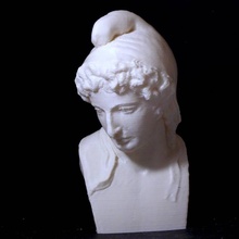 youth paris scan bust woman 3d print model - Mito3D