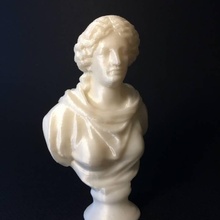 ritratto donna scansione busto 3d print model - Mito3D