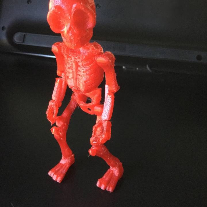kurukafa iskelet açıkladı eğitim eylem şekil kafatası belden mümkün oluşturmaktadır 3D print model - Mito3D