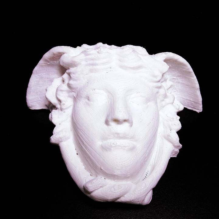 medusa rondanini scan rosto mulher 3D print model - Mito3D