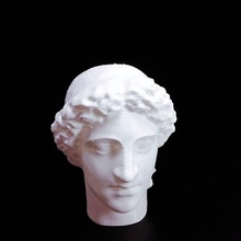 romano busto scan mulher 3d print model - Mito3D
