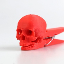 skull clothespin & garden halloween competition-halloween-2014-masks-cabinet-of-curiosities clothespeg 3d print model - Mito3D