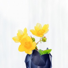 madre perla vaso giardino moderna office soggiorno desktop beautifulhome 3d print model - Mito3D