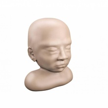 bebek baş oyuncaklar oyunlar anatomik modeller 3d print model - Mito3D