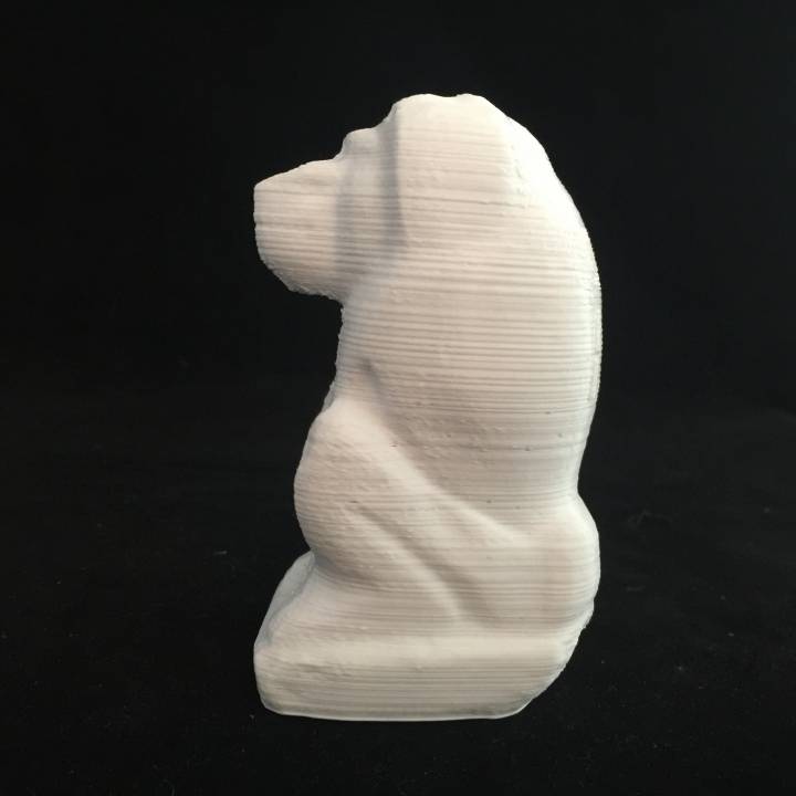 Zahl Pavian Scan 3D print model - Mito3D